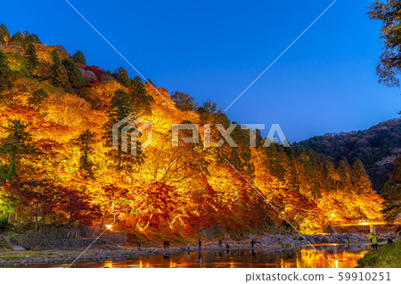 Korankei秋葉照亮[愛知縣] 59910251