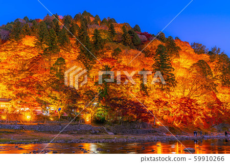 Korankei Autumn leaves light up [Aichi Prefecture] 59910266