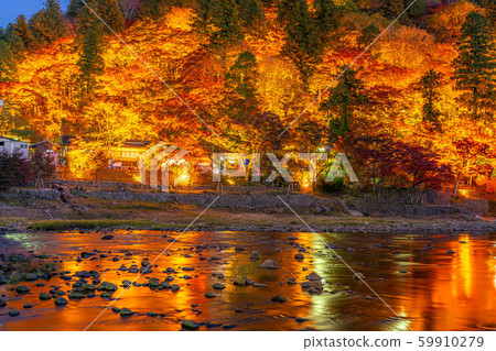 Korankei Autumn leaves light up [Aichi Prefecture] 59910279