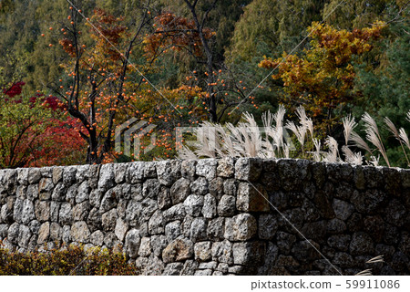 Autumn stone wall 59911086