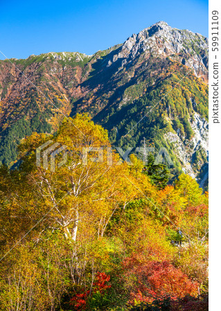 《Toyama Prefecture》Tateyama in autumn colors Kurobe Alpine Route, Kurobedaira Garden 59911109