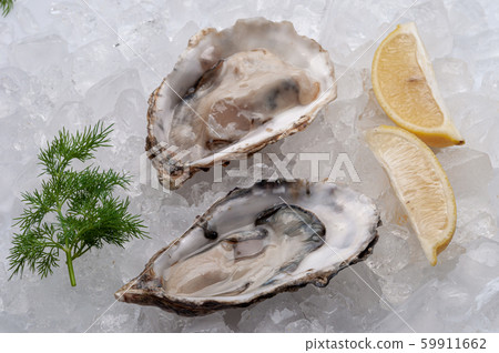 Fresh oysters platter with sauce and lemon Fresh oysters platter with sauce and lemon 59911662