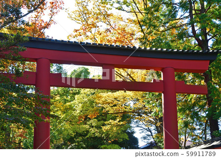 Omiya Hikawa Shrine, the third torii gate at the precincts 59911789