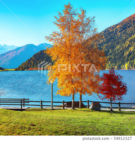 Splendid autumn panorama of Haidersee (Lago della 59912327