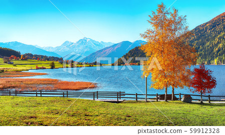 Splendid autumn panorama of Haidersee (Lago della 59912328