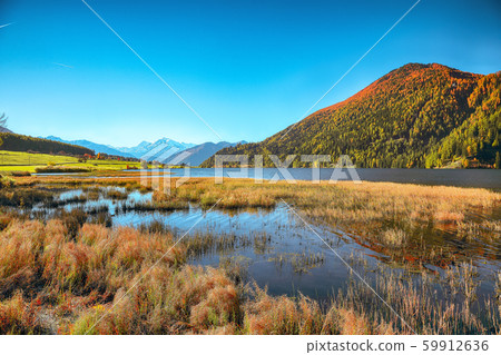 Splendid autumn panorama of Haidersee (Lago della 59912636