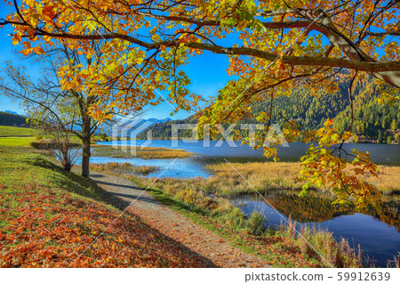 Splendid autumn panorama of Haidersee (Lago della 59912639