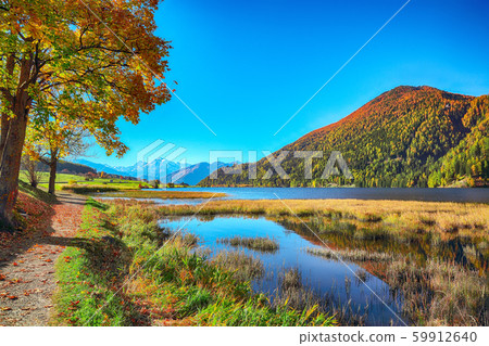 Splendid autumn panorama of Haidersee (Lago della 59912640