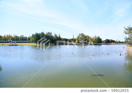 Autumn park 59912655