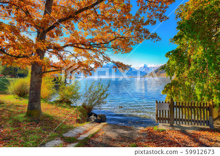 Spectacular autumn view of lake and trees in city Spectacular autumn view of lake and trees in city 59912673