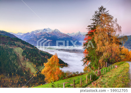 Spectacular autumn view of lake meadows trees and Spectacular autumn view of lake meadows trees and 59912705