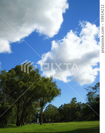 珀斯公園,國王公園的樹木和草坪,藍天白雲 珀斯公園,國王公園的樹木和草坪,藍天白雲 59914212