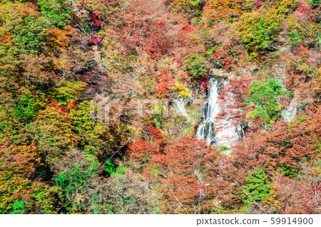 Tochigi Nikko Kirigaki Falls (Autumn) 59914900