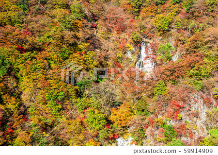 chi木日光霧垣瀑布(秋天) chi木日光霧垣瀑布(秋天) 59914909