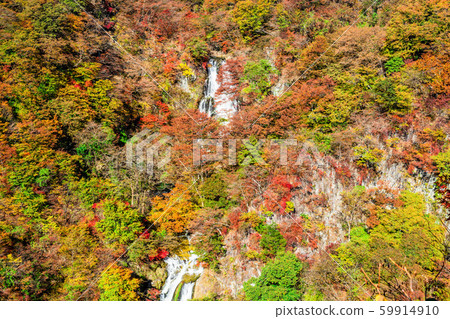 chi木日光霧垣瀑布（秋天） 59914910