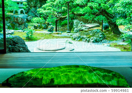 京都宇京區大室故居的新鮮綠化照片 京都宇京區大室故居的新鮮綠化照片 59914981
