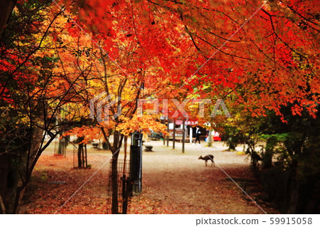 Konoyagi Park 59915058