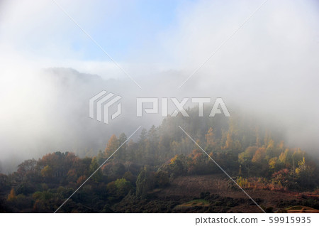 韓國全羅北道濟南郡龍潭湖的早晨景色 59915935