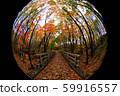 Sapporo Autumn leaves Mixed forest 8 59916557