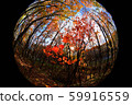 Sapporo Autumn leaves Miscellaneous forest 10 59916559