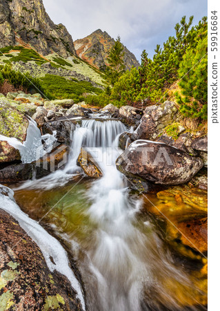 Wild creek in The Mlynicka Valley at late autumn 59916684