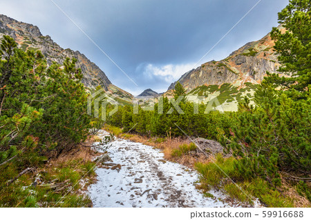 Mountain hiking trail in The Mlynicka Valley. 59916688