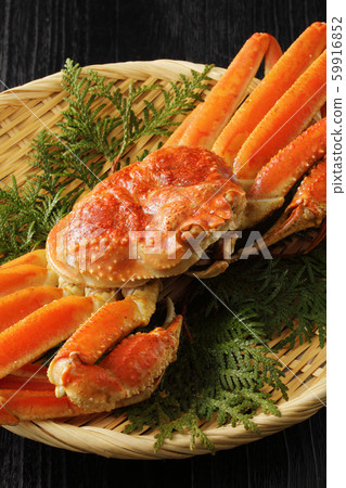 Snow crab 59916852