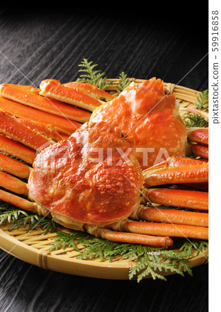 Snow crab Snow crab 59916858
