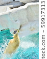 Polar bear feet jumping 59917313