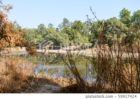 Lake Landscape view at coastal areas of Vindhya 59917424