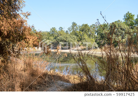 Lake Landscape view at coastal areas of Vindhya 59917425