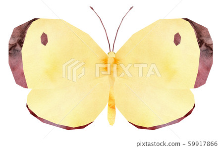 大腸桿菌 大腸桿菌 59917866