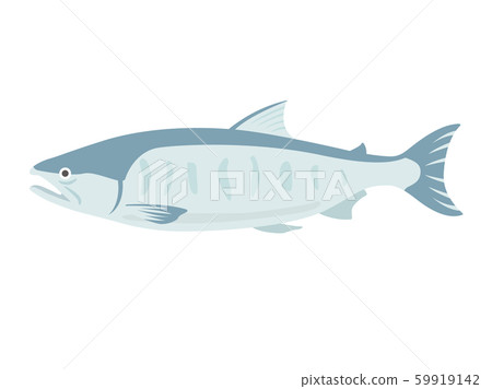 Salmon illustration Salmon illustration 59919142