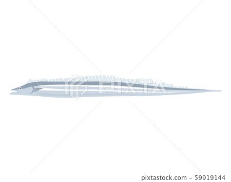 劍魚的插圖 59919144