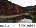 Asuke Prefecture Toyota City Asuke Town Korankei Ginkgo row of trees and Magetsuki Bridge 59919661