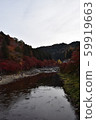 Asuke Prefecture Toyota City Asuke Town Korankei Ginkgo row of trees and Magetsuki Bridge 59919663