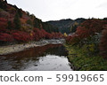 Asuke Prefecture Toyota City Asuke Town Korankei Ginkgo row of trees and Magetsuki Bridge 59919665