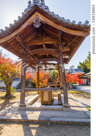 Autumn Kobe, Taishan Temple, Temizuya Autumn Kobe, Taishan Temple, Temizuya 59919865