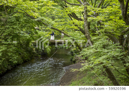 Fresh green Yufuin Fresh green Yufuin 59920396