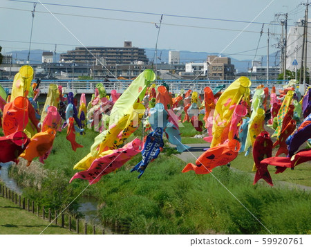 Carp streamers at Taishogawa Riverbed Park (Settsu City, Osaka Prefecture) Carp streamers at Taishogawa Riverbed Park (Settsu City, Osaka Prefecture) 59920761