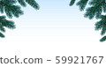 Green Christmas tree branches 59921767