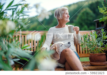 A senior woman with a dog and coffee sitting outdoors on a terrace in summer. 59921823