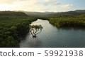 Iriomote Island Shiira River evening view 59921938