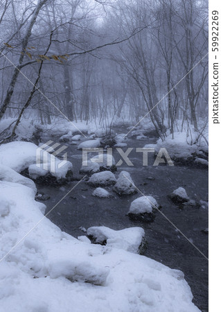 Oirase stream of winter 59922269