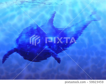Dolphin underwater 59923459