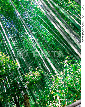 Kyoto Trail: Higashiyama Course Kyoto Trail: Higashiyama Course 59926235
