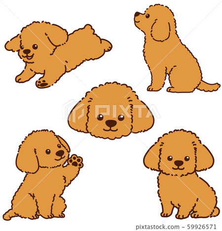 玩具貴賓犬手繪插畫套裝帶主線 玩具貴賓犬手繪插畫套裝帶主線 59926571