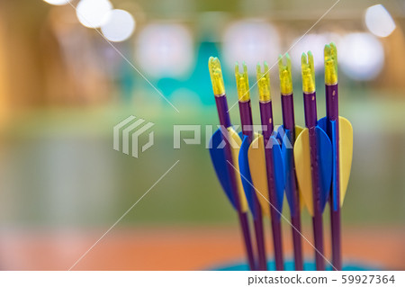 sports archery at the shooting range, competition for the most points to win the cup sports archery at the shooting range, competition for the most points to win the cup 59927364