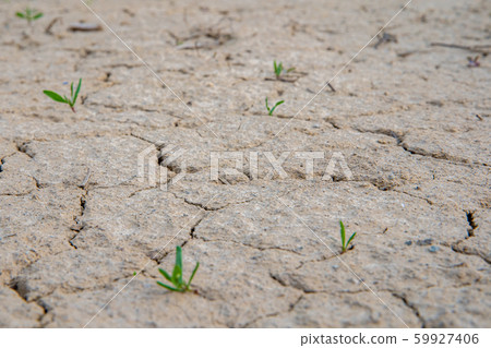 Cracked dried up soil in the summer period without rain 59927406