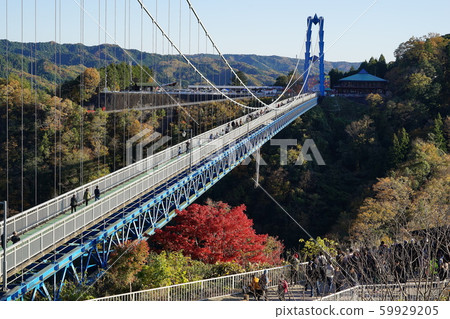 November Autumn leaves of Hitachiota 03 Ryujinkyo November Autumn leaves of Hitachiota 03 Ryujinkyo 59929205